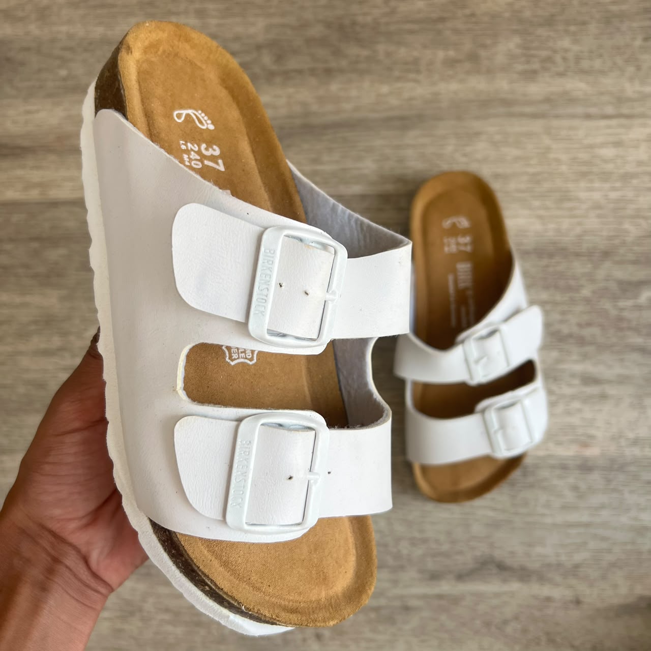 ARIZONA BLANC MAT EVA BLANC F