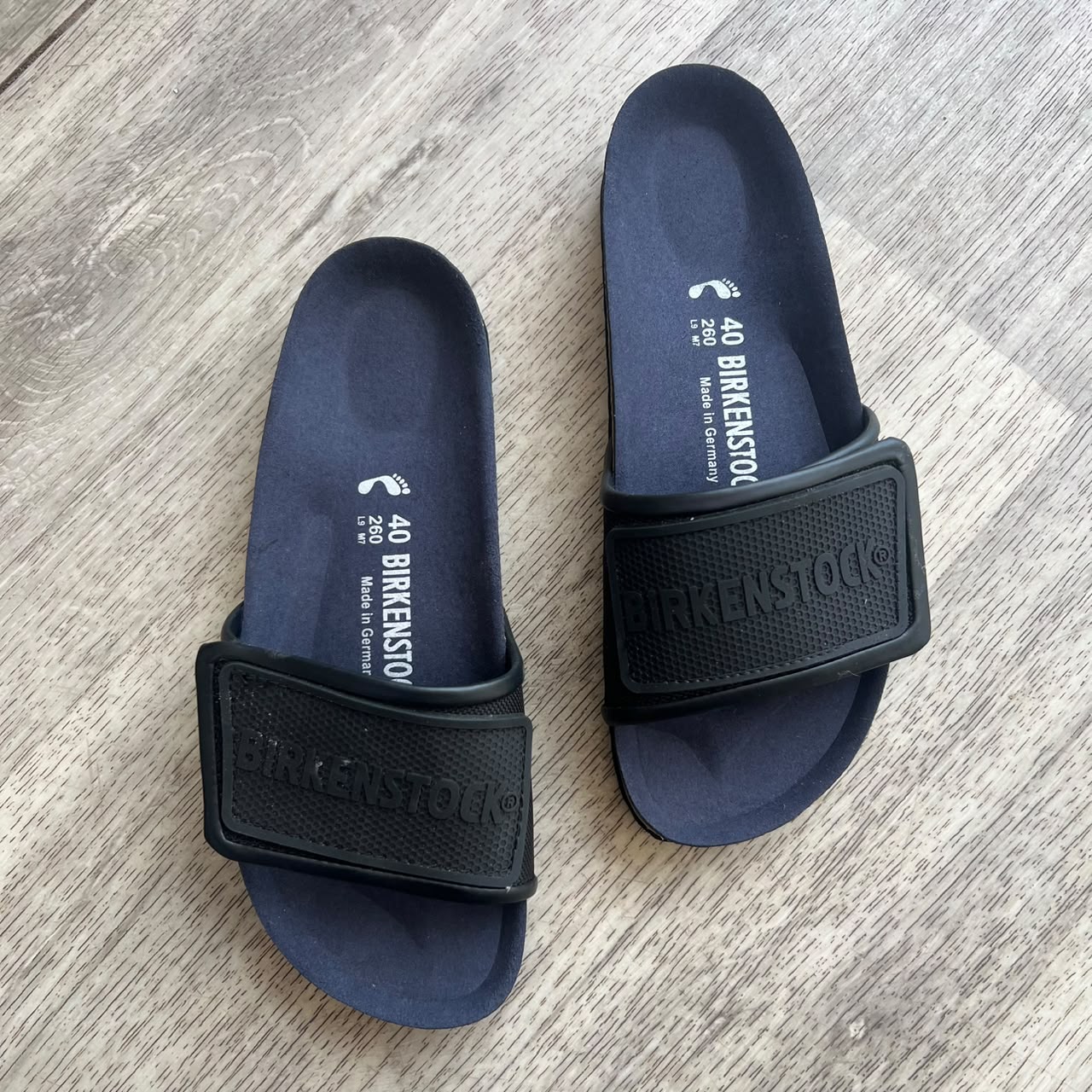TEMA NOIR PLANTA BLEU