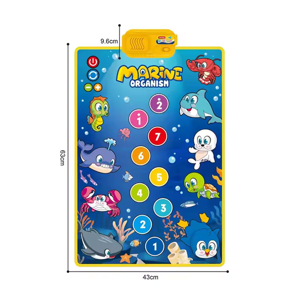 Vignette 6