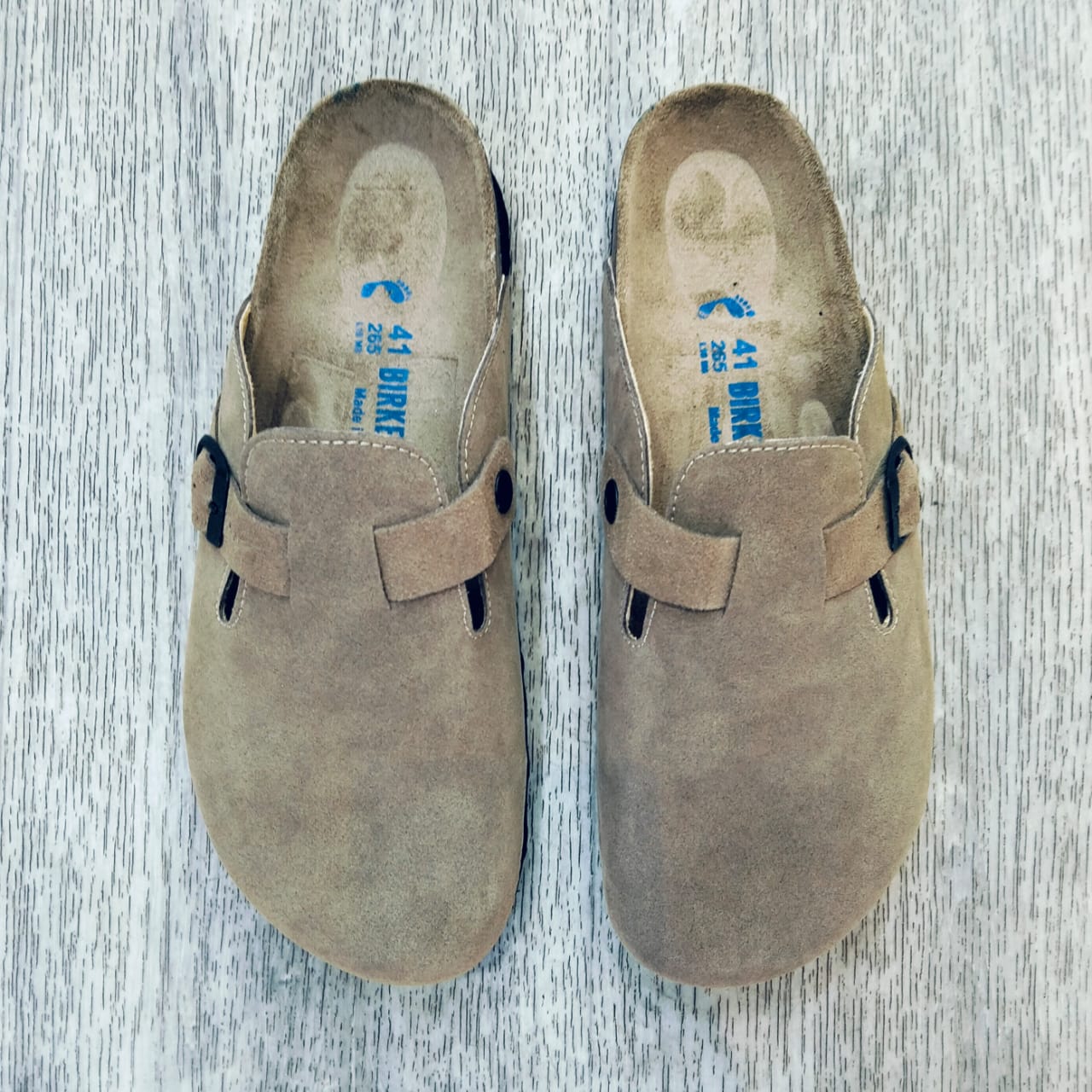 BOSTON KAKI