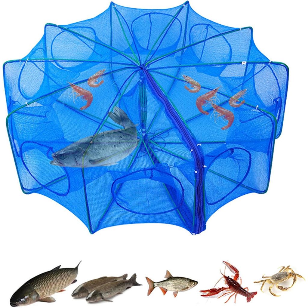 PiĂšge de PĂȘche Poissons 8 Trous Facile a Installer 80cm